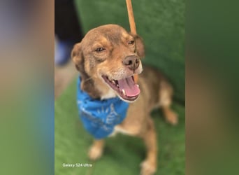 Lucky Boy – macht seinem Namen alle Ehre