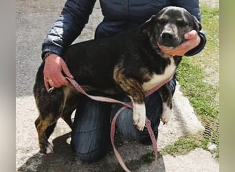 Hübsch - Hübscher - wunderhübsche TESSA