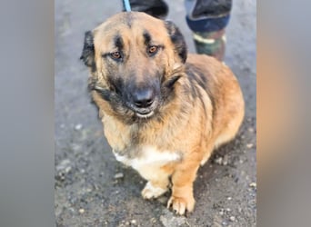 *Fred*kleiner Charmeur sucht das große Glück