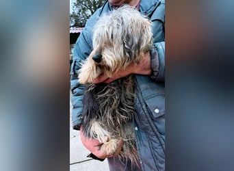 Friedwart – kleiner Herzensbrecher sucht ein Plätzchen