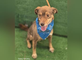 Lucky Boy – macht seinem Namen alle Ehre