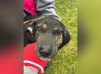 Hübsch - Hübscher - wunderhübsche TESSA