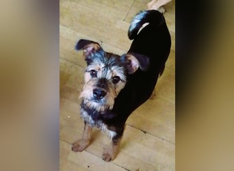 Ein süßer Fratz – das ist EDY