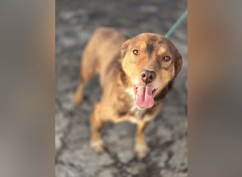 Lucky Boy – macht seinem Namen alle Ehre