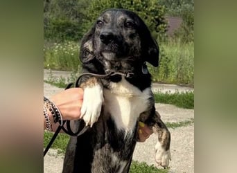 Hübsch - Hübscher - wunderhübsche TESSA