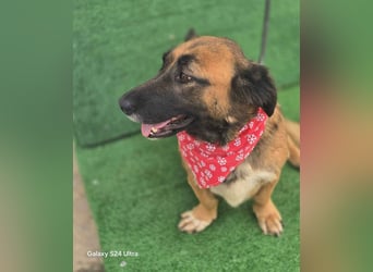 *Fred*kleiner Charmeur sucht das große Glück