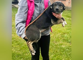 Hübsch - Hübscher - wunderhübsche TESSA