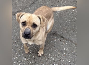 SAMU SUCHT SEIN GLÜCK