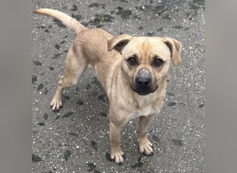 SAMU SUCHT SEIN GLÜCK