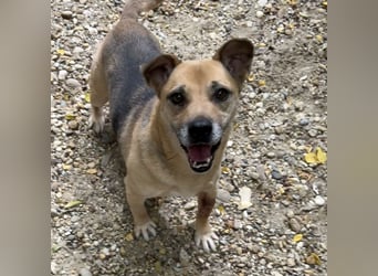 FURA - EINZIGARTIGE HÜNDIN SUCHT EINZIGARTIGE MENSCHEN