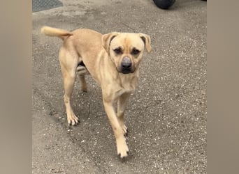 SAMU SUCHT SEIN GLÜCK