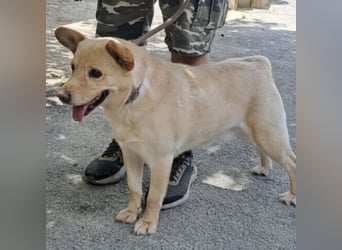 Töpörtyü sucht Einzelplatz