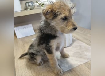 BOHO - FREUNDLICH UND VERSPIELT