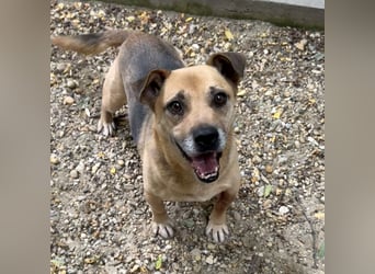 FURA - EINZIGARTIGE HÜNDIN SUCHT EINZIGARTIGE MENSCHEN