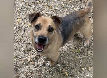 FURA - EINZIGARTIGE HÜNDIN SUCHT EINZIGARTIGE MENSCHEN