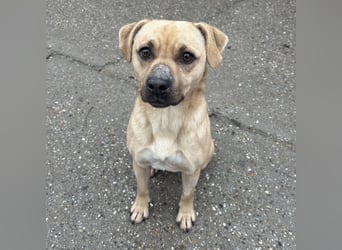 SAMU SUCHT SEIN GLÜCK