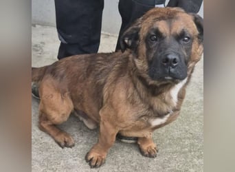 GONZI MÖCHTE ENDLICH LOSSPAZIEREN