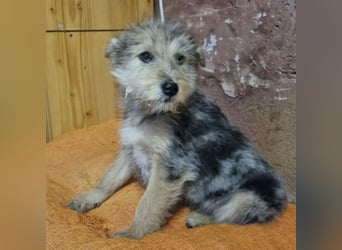 BOHO - FREUNDLICH UND VERSPIELT