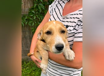Tammy, geboren 08.02.2026, 27cm sucht ihre Menschen