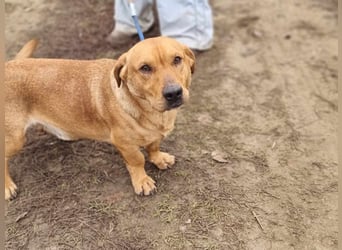 Tino, geb. 03/2023, 35 cm, wünscht sich ein Für-Immer-Zuhause
