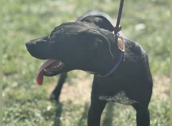 Hetty, geboren 25.01.2025, 42cm sucht ihre Familie