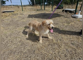 Libby, geboren 01.04.2026, 40cm sucht ihr Glück
