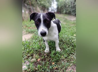 Alma, geboren 26.08.2023, 29cm sucht ihr Glück