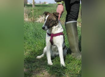 Szamoca, geboren 06.2025, 35cm sucht ihre Familie