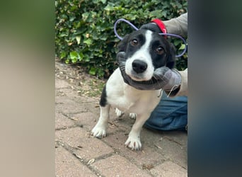 Alma, geboren 26.08.2023, 29cm sucht ihr Glück