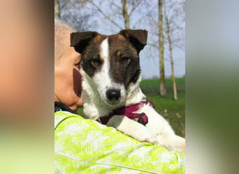 Szamoca, geboren 06.2025, 35cm sucht ihre Familie