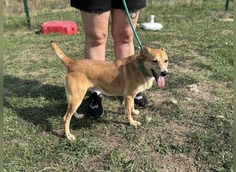 Wendy, geboren 07.2018, 42cm sucht ihr Für-Immer-Zuhause