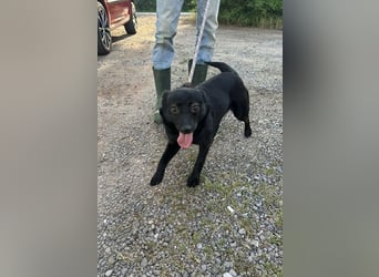 Ajna, geb. 06/2024, 39 cm, sucht ihre Herzensmenschen