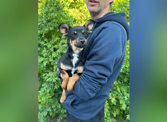 Tina, geboren 20.01.2026, 32cm sucht ihr Glück