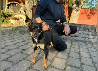 Tina, geboren 20.01.2026, 32cm sucht ihr Glück