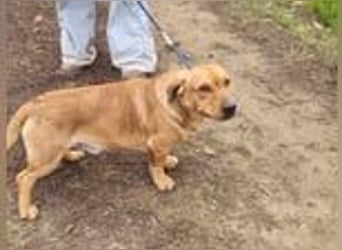 Tino, geb. 03/2023, 35 cm, wünscht sich ein Für-Immer-Zuhause