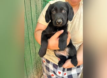 Manika, geboren 04.05.2026, 27cm sucht Familienanschluss