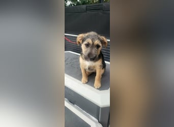 Evita, geboren 19.10.2025, 32cm sucht ihr Glück