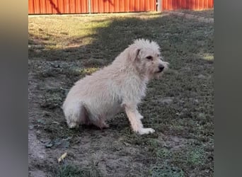 Fredi, 1,5 Jahre, 35cm sucht sein Körbchen