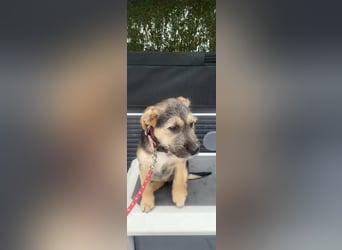 Evita, geboren 19.10.2025, 32cm sucht ihr Glück