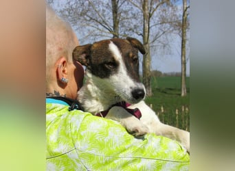 Szamoca, geboren 06.2025, 35cm sucht ihre Familie