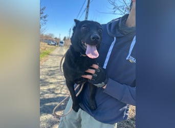 Ajna, geboren 06.2024, cm sucht ihr Zuhause