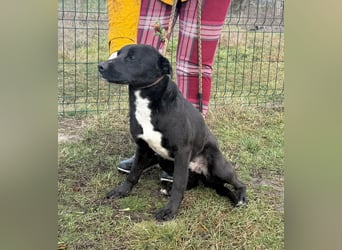 Anton, geboren 25.12.2024, 42cm sucht seine Menschen