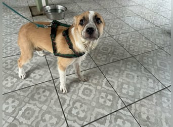 Mandy, geboren 05.11.2025, 35cm sucht ihr Glück