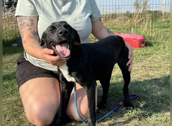 Anton, geboren 25.12.2024, 42cm sucht seine Menschen