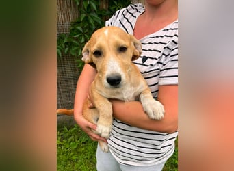 Tammy, geboren 08.02.2026, 27cm sucht ihre Menschen