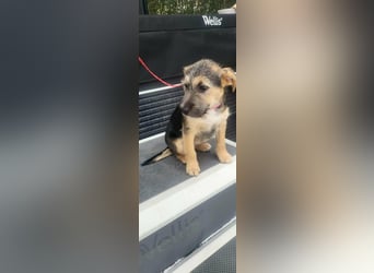 Evita, geboren 19.10.2025, 32cm sucht ihr Glück