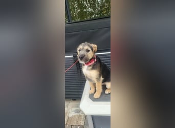 Evita, geboren 19.10.2025, 32cm sucht ihr Glück