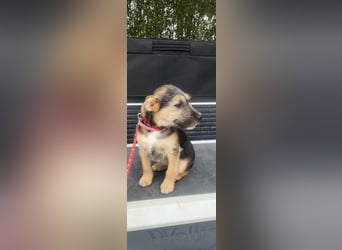 Evita, geboren 19.10.2025, 32cm sucht ihr Glück