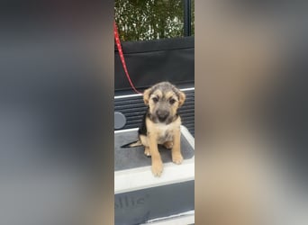 Evita, geboren 19.10.2025, 32cm sucht ihr Glück