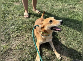 Wendy, geboren 07.2018, 42cm sucht ihr Für-Immer-Zuhause